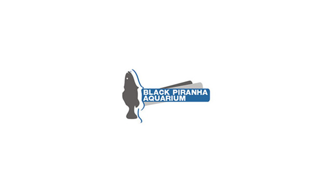 black-piranha11.jpg - Website Design and Development