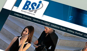 “BSI” .NET CONSULTING - Website Design and Development