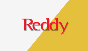 Reddy - Website Design and Development