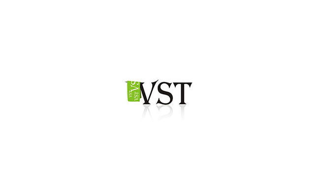 vst11.jpg - Website Design and Development